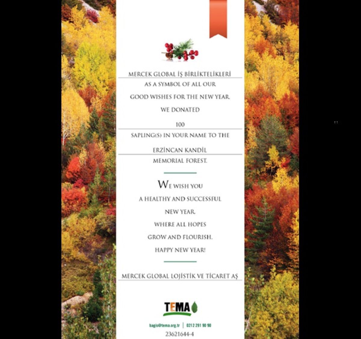 MERCEK GLOBAL TREE PLANTING CAMPAIGN ONWARDS FROM 2022